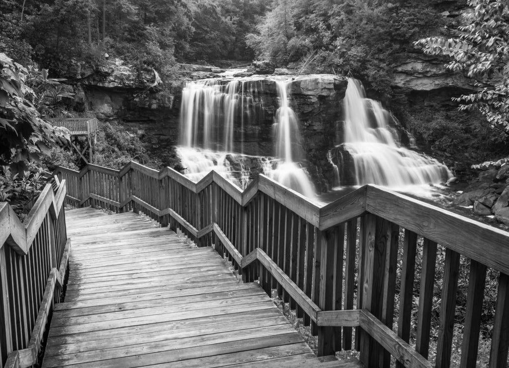 Blackwater Falls and a trail at Blackwater Falls State Park, West Virginia in black white