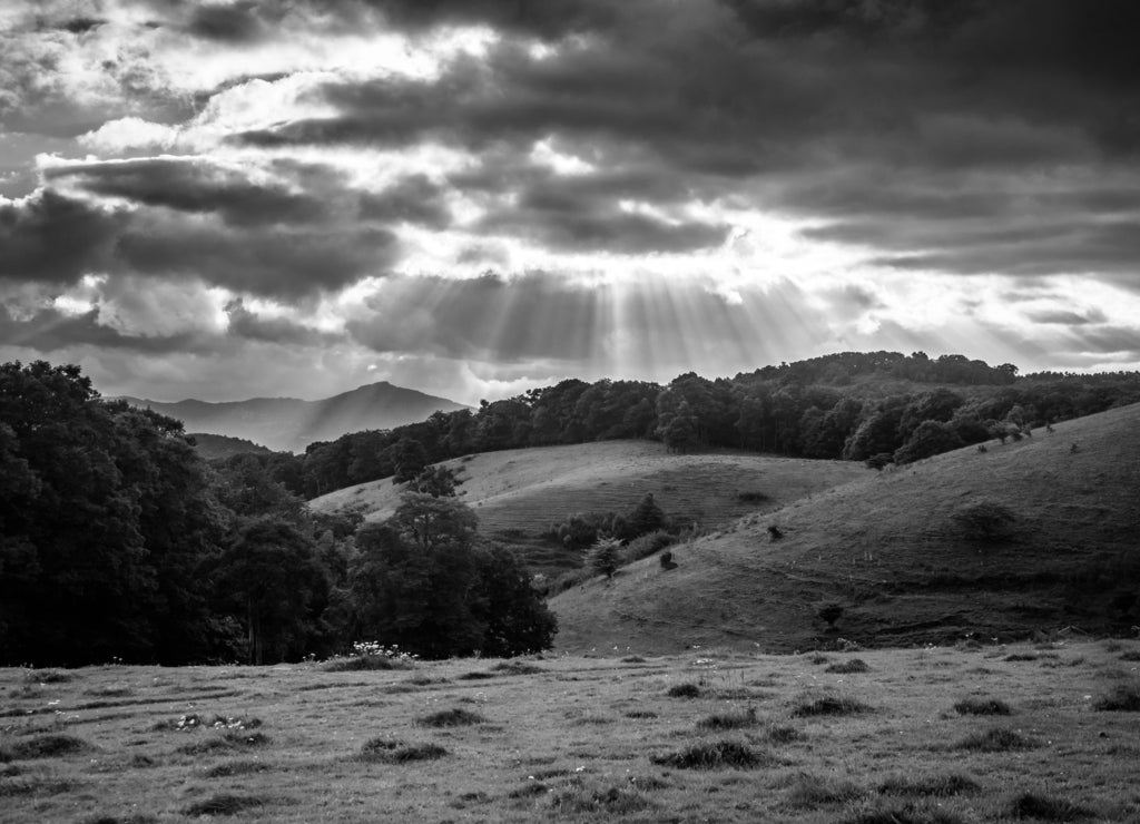 Crepuscular rays over a field and rolling hills at Moses Cone P North Carolina in black white