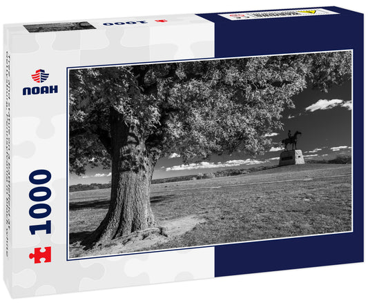 Tree and statue on a battlefield at Gettysburg, Pennsylvania in black white