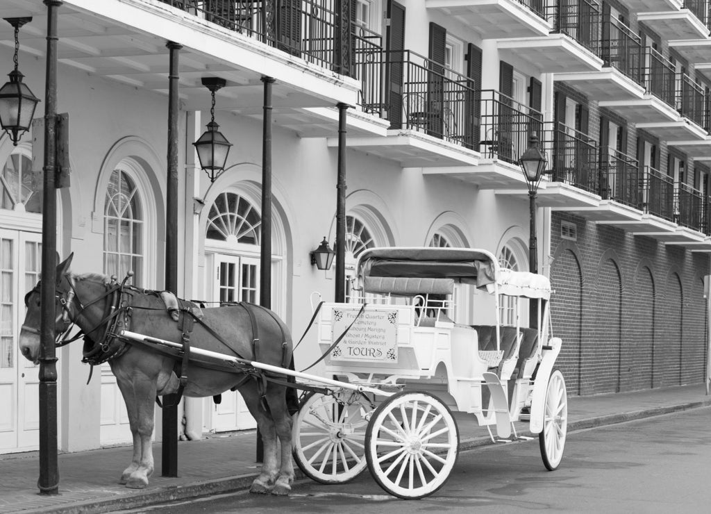 Elegant horse-drawn carriage in French Quarter, New Orleans, Louisiana in black white