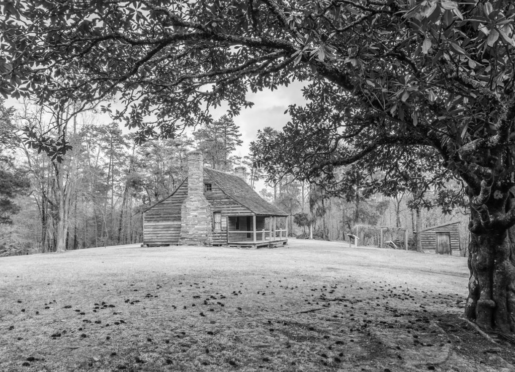Restored historic wood house in the uwharrie mountains forest North Carolina in black white