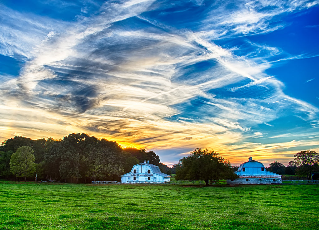 farmland at sunset in York South Carolina