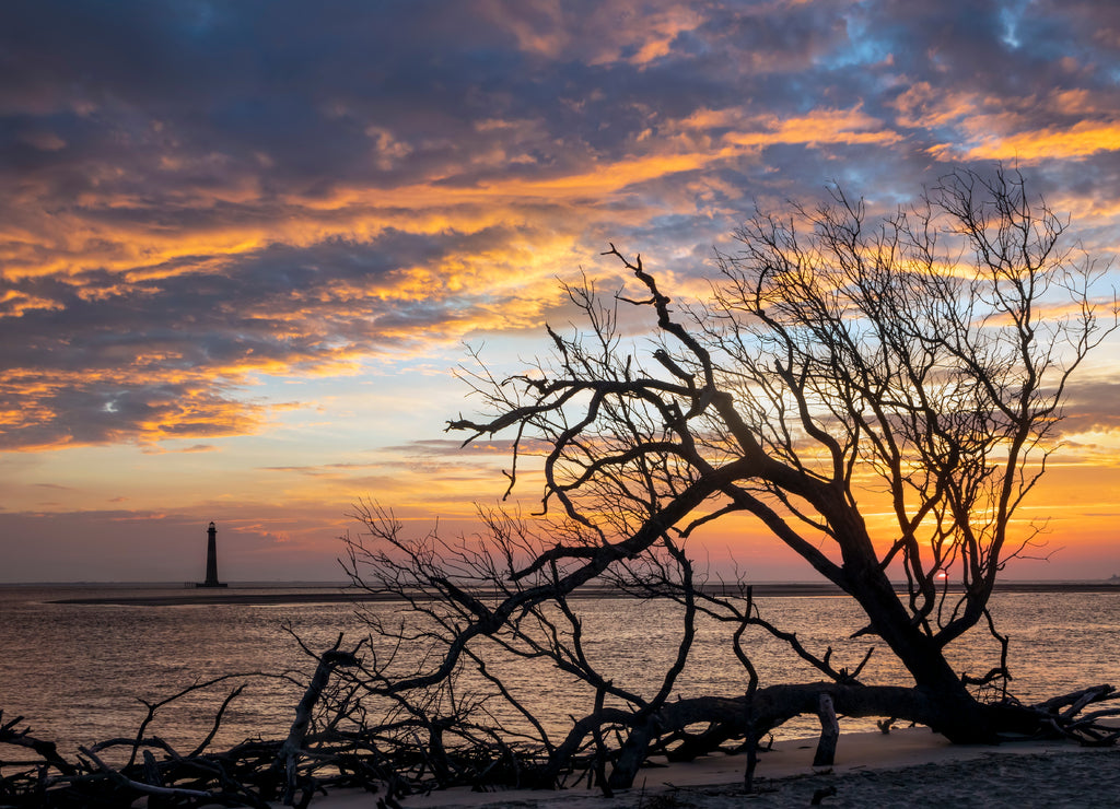 A gorgeous sunrise sky over the Atlantic Ocean silhouettes fallen trees and the historic Morris Island Lighthouse as photographed from a Folly Island beach in South Carolina