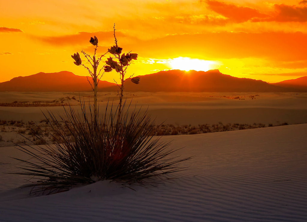 White Sands National Monument Sunset, New Mexico - Timelapse