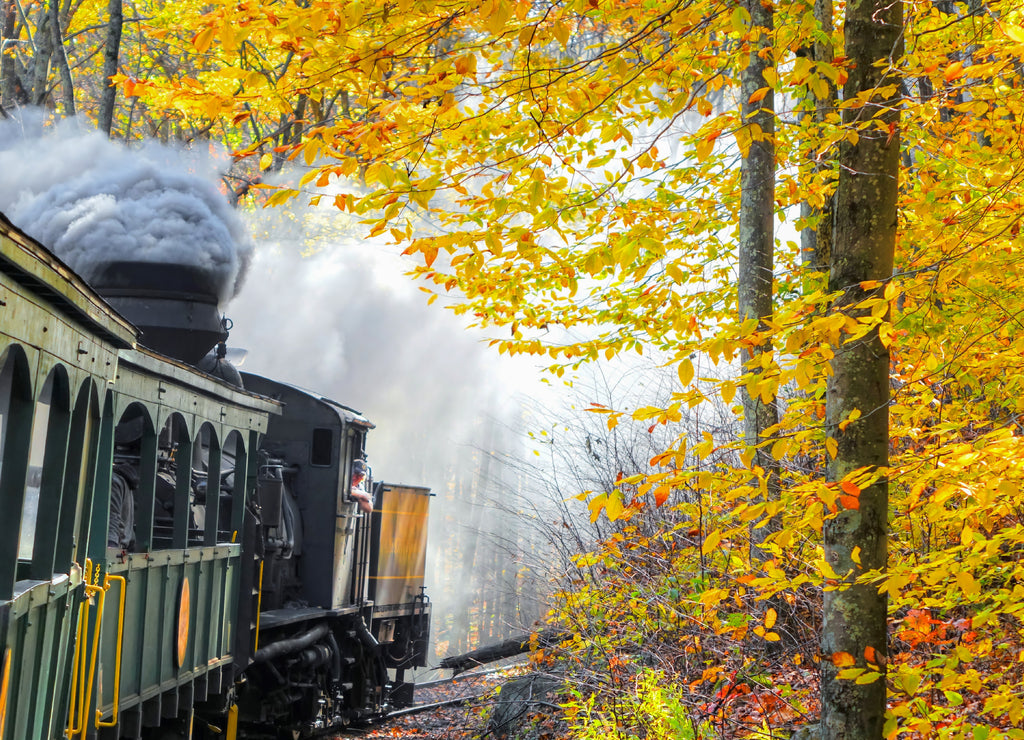 An old vintage train with thick smoke making its way through the woods in West Virginia