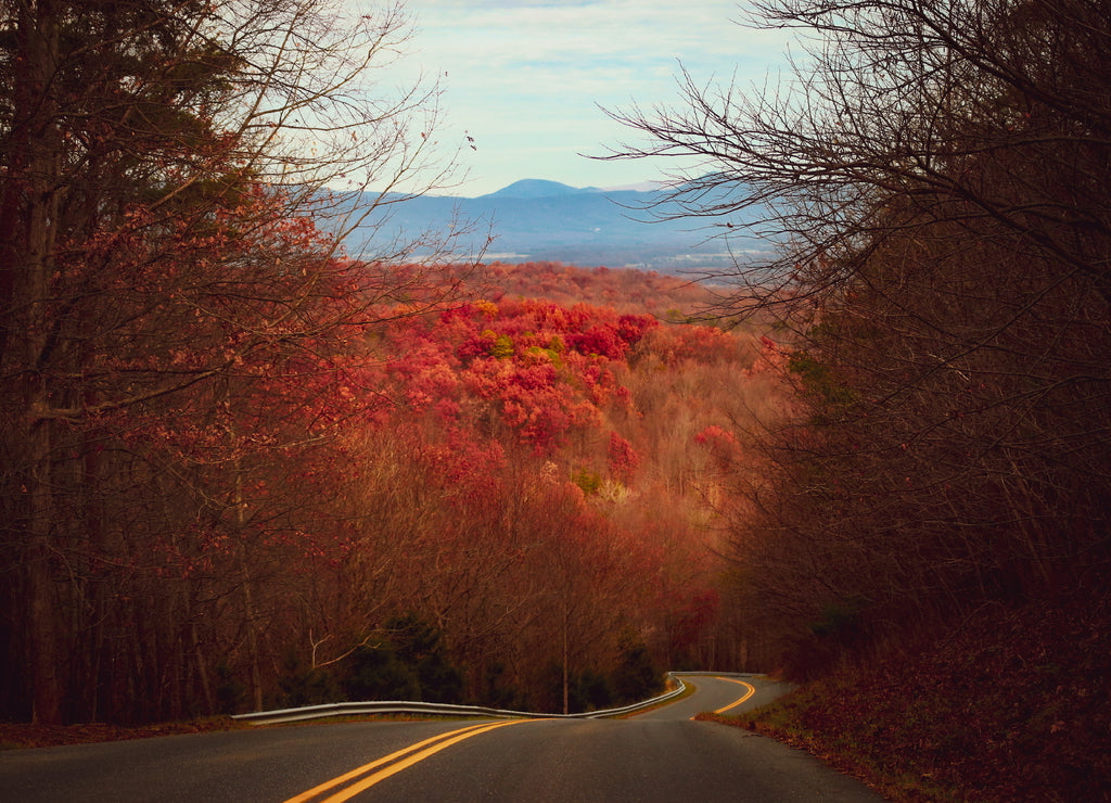 Shenandoah Wester Virginia National Park United States of America Highway Autumn Fall