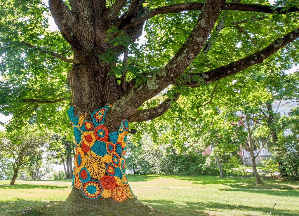 Crochet for Trees Close Up in Morgantown West Virginia