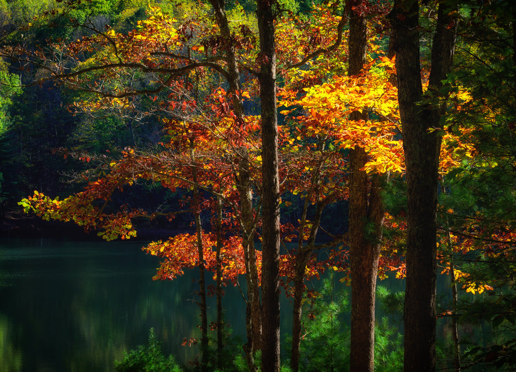 Pipestem State Park, West Virginia USA