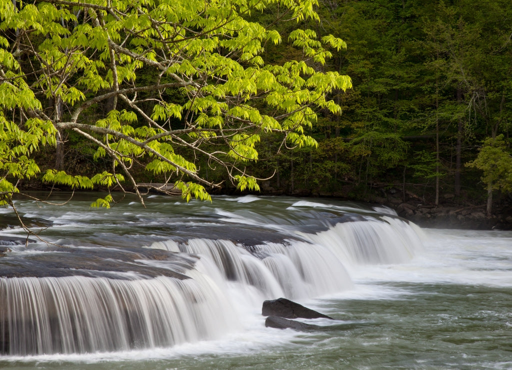 Beautiful Valley Falls with trees in the spring at Valley Falls State Park in West Virginia