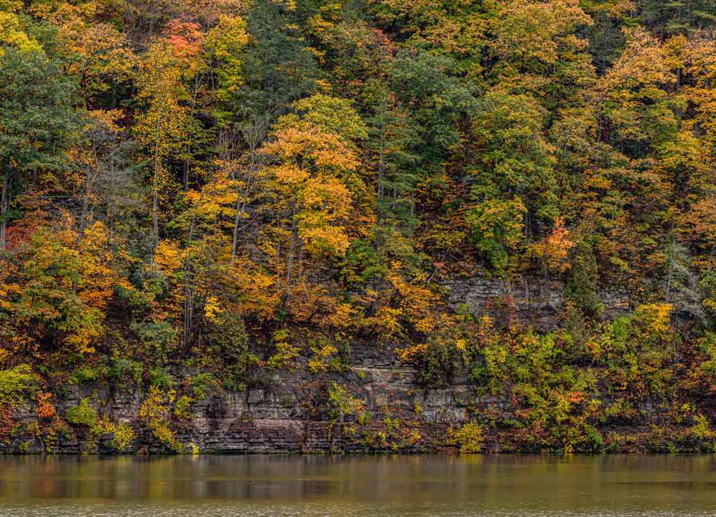 Fall Foliage On The Cliffs Above The Bluestone Rivers, Bluestone State Park, West Virginia, USA