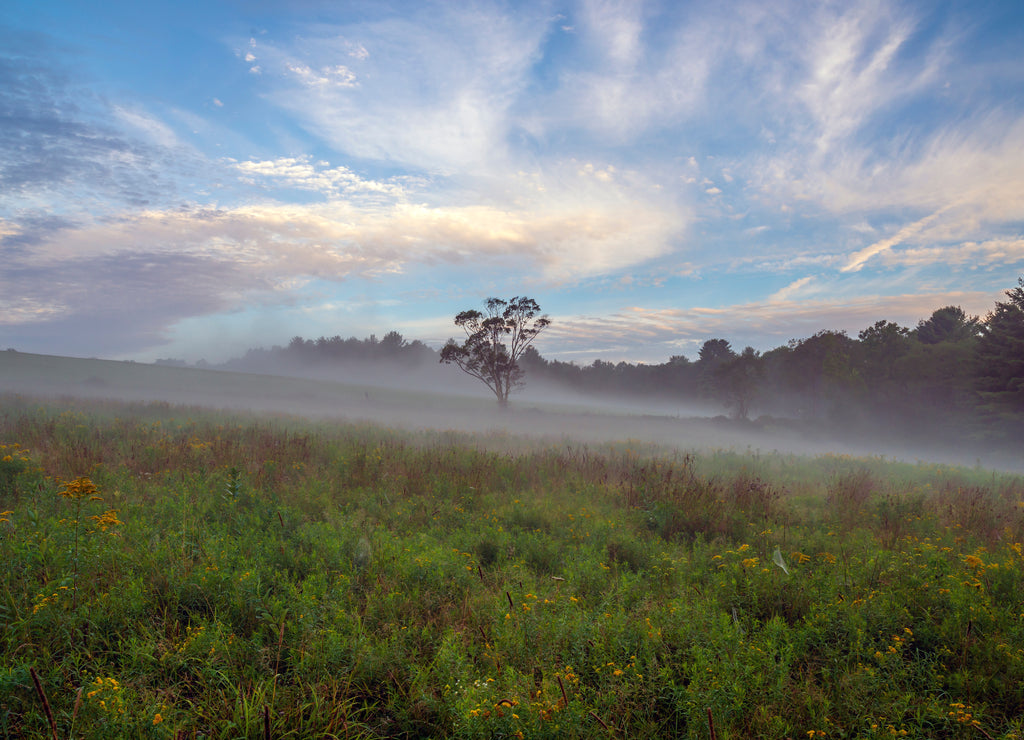 Upstate New York in Sullivan county in summer with fog on the meadow
