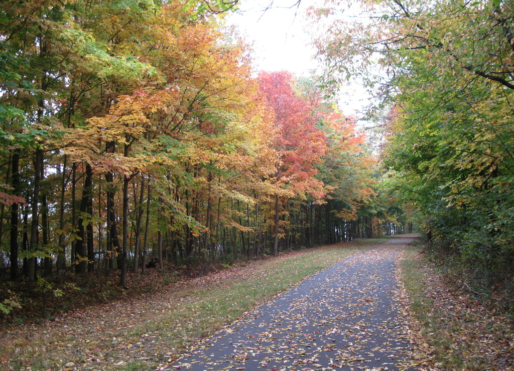 Autumn on the Orange Heritage Trail, Goshen New York