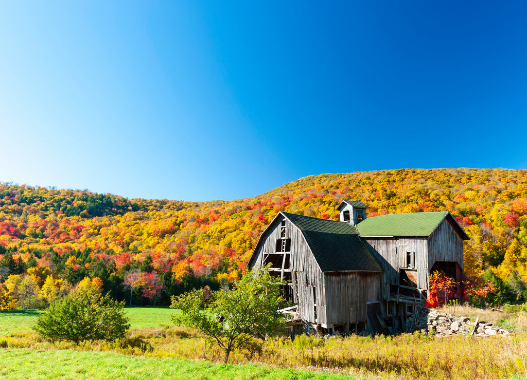 Indian Summer - Catskill, New York