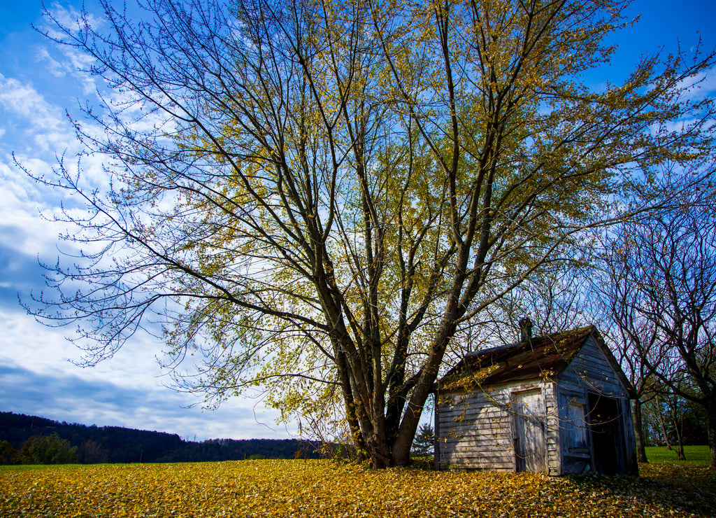Old Tool Shed in Autumn. Chenango County, New York