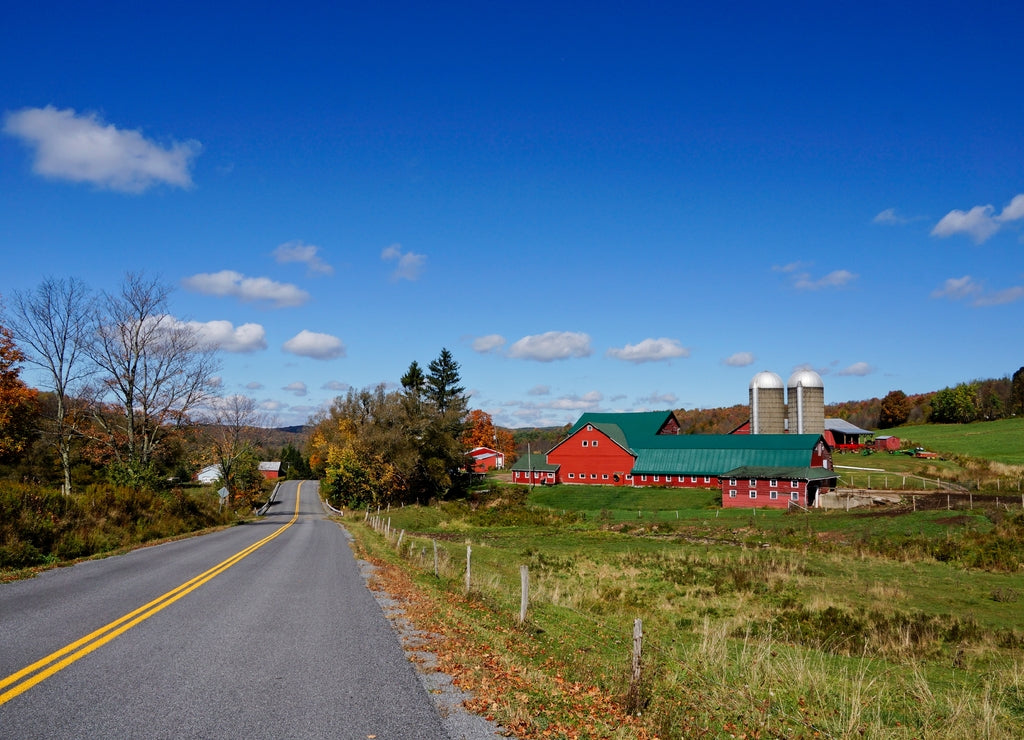 Farm in Delaware County New York