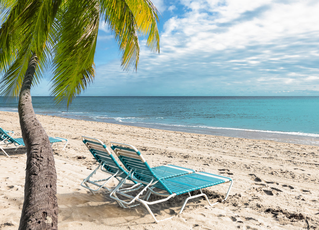 Relax on the beach. Palm tree and beach chairs at the coastline in Florida