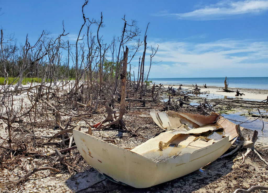 Shipwreck, Ten Thousand Islands, Collier County, Florida