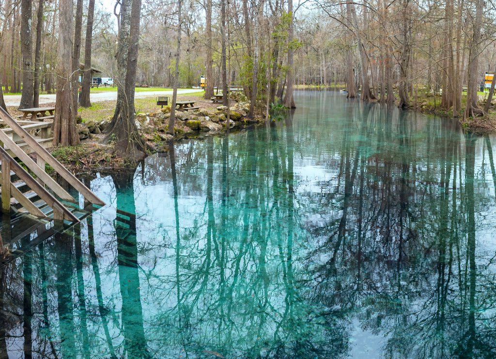 Little Devil's Spring on the Santa Fe River, Gilchrist County, Florida