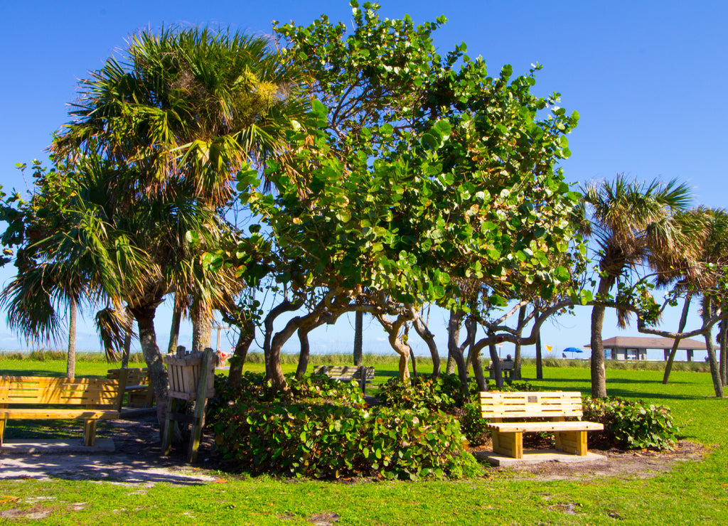 Park, Vero Beach, Florida