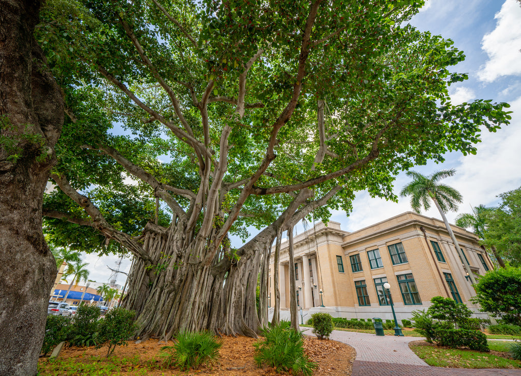 Lee County Courthouse Downtown Fort Myers Florida