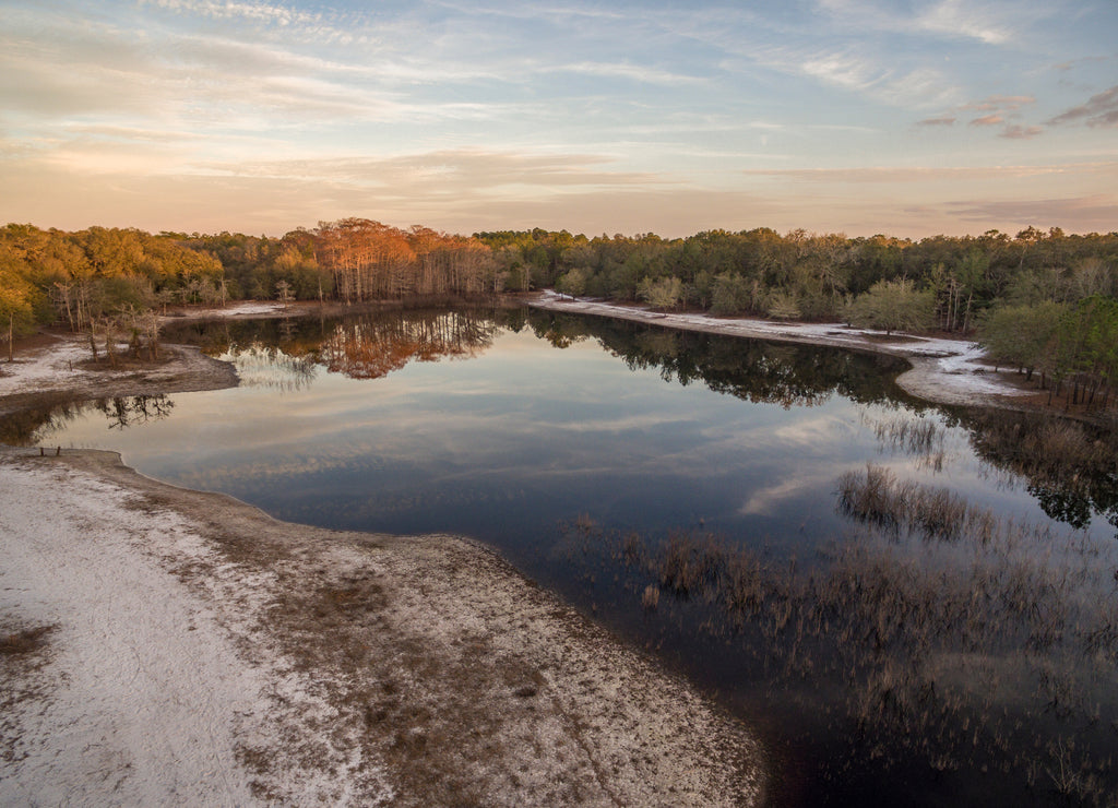 Indian Lake in winter. Indian Lake Forest, Marion County Florida