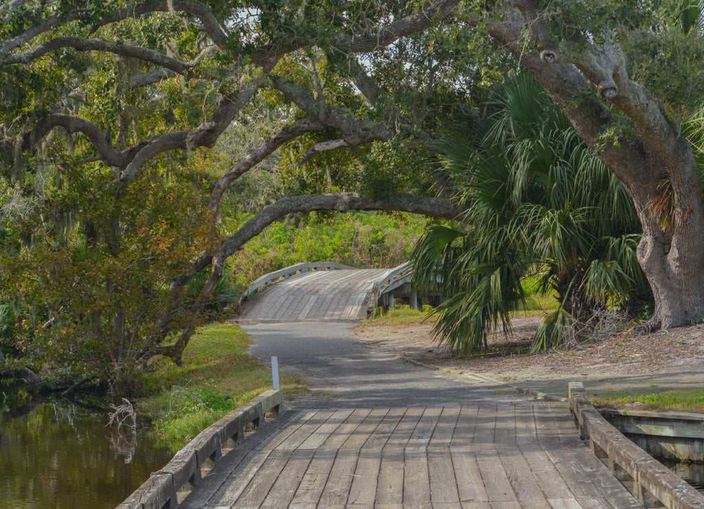 Wood bridge near Amelia Plantation in Nassau County, Florida