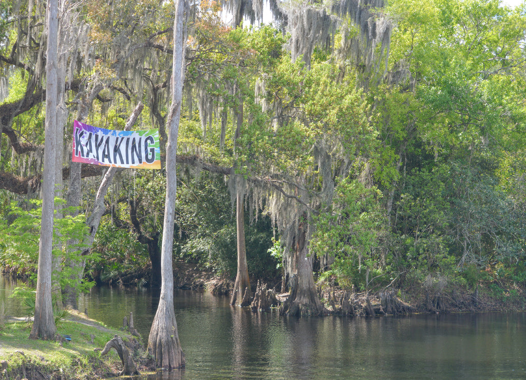 Kayaking on the Shingle Creek in the Shingle Creek Regional Park, Osceola County, Kissimmee, Florida