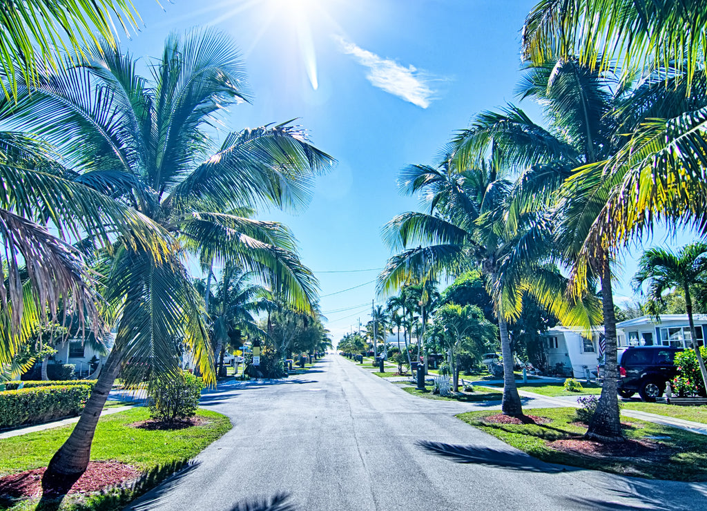 way to the beach with palm trees in key west florida