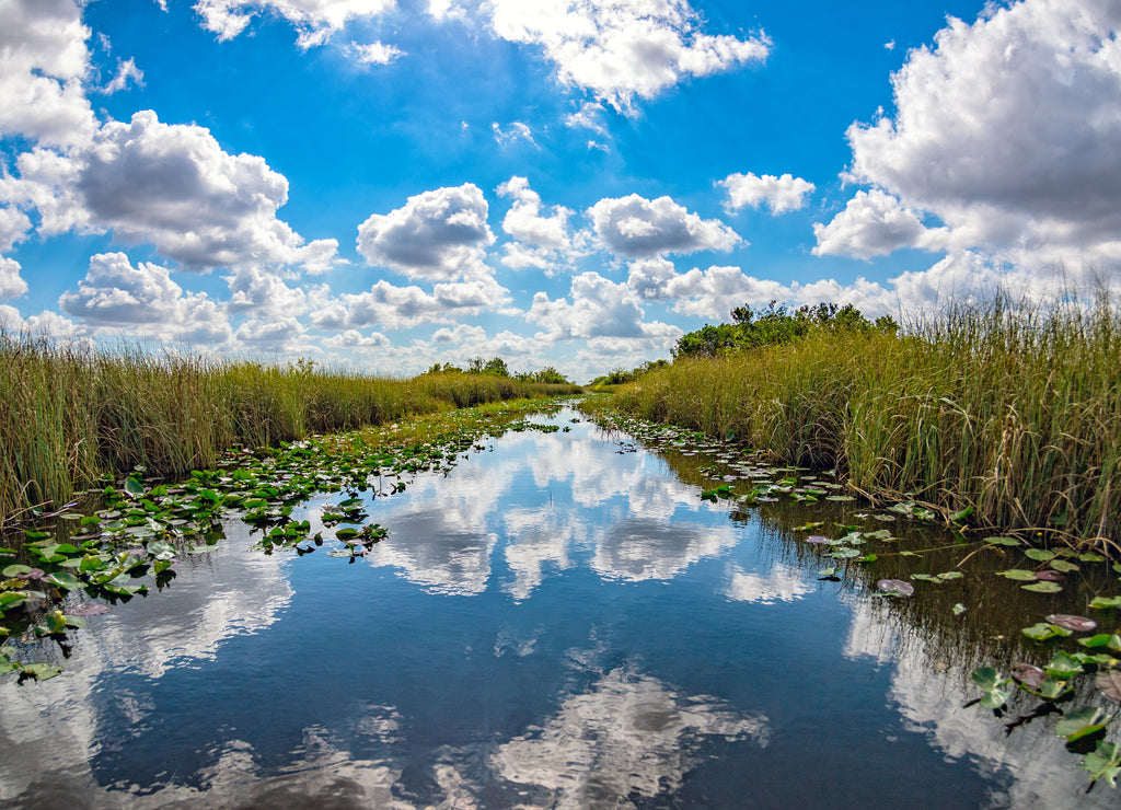 florida everglades view panorama landscape