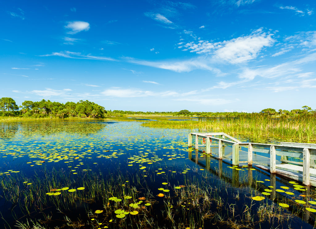 Florida Nature Preserve