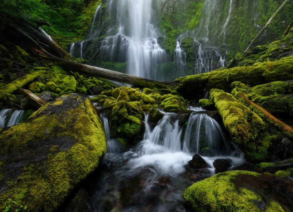 Proxy Falls, Oregon, USA, during summer