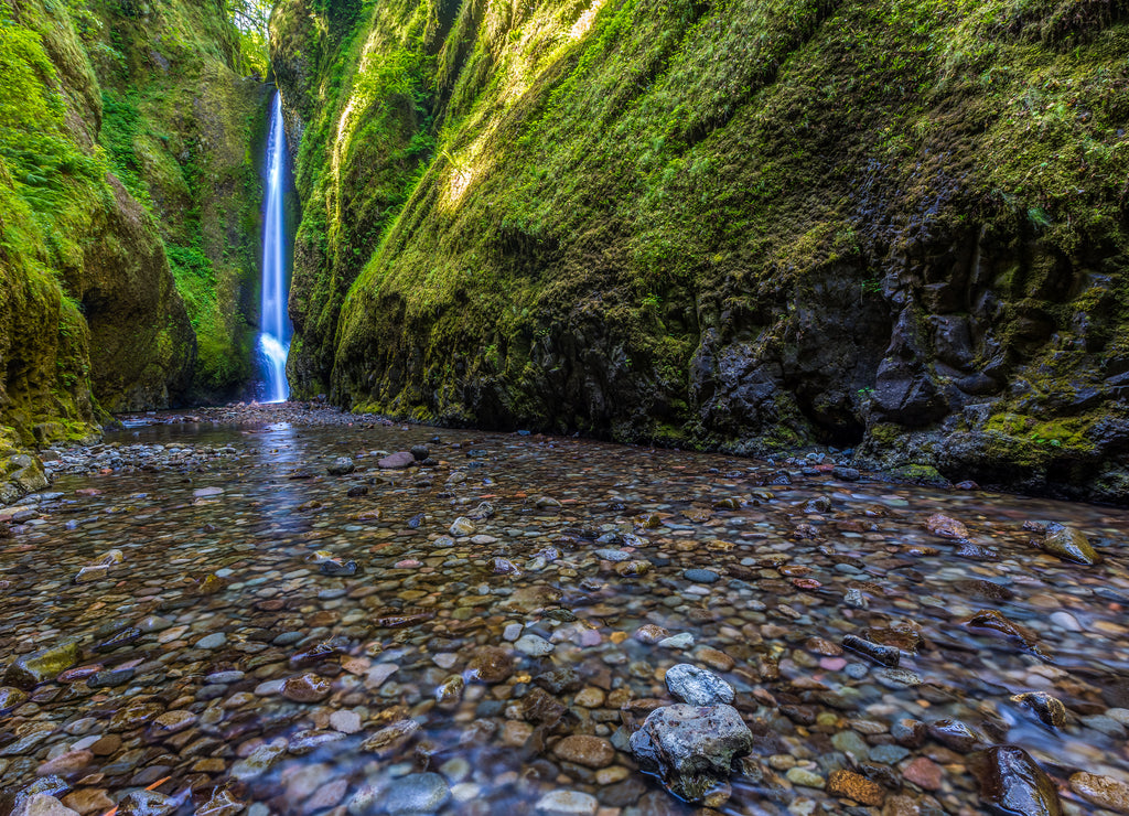 Beautiful nature in Oneonta Gorge trail, Oregon
