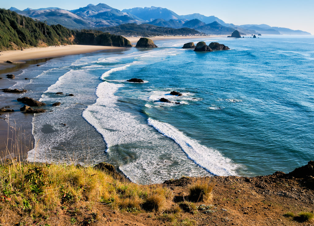 Sweeping view of the Oregon coast including miles of sandy beach