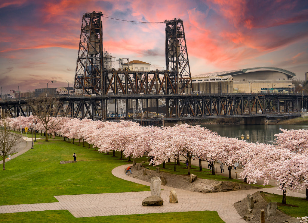 Willamette river, and the Steel Bridge, in Portland Oregon
