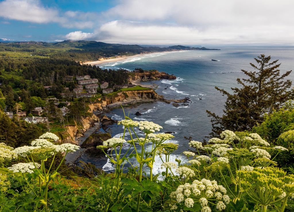 Cape Foulweather, Oregon Coastline along Route 101