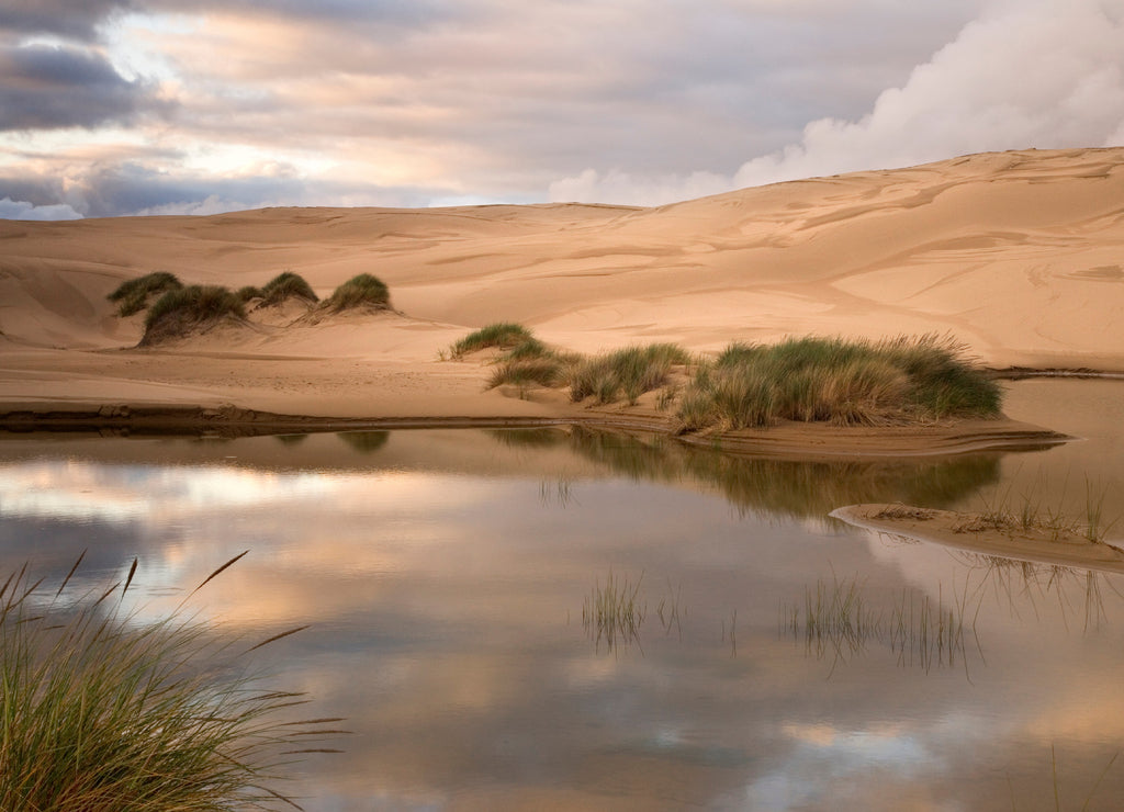 USA, Oregon, Siuslaw National Forest, Umpqua Dunes. Contrast of a lake next to sand dunes