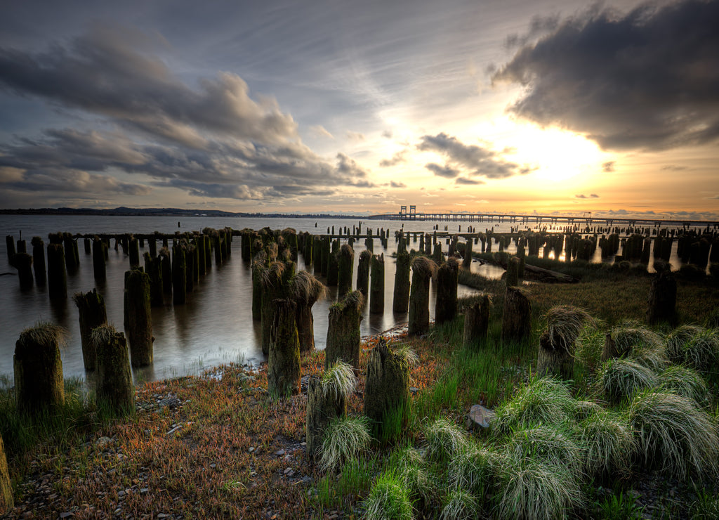 Wood pilings at sunset in Oregon