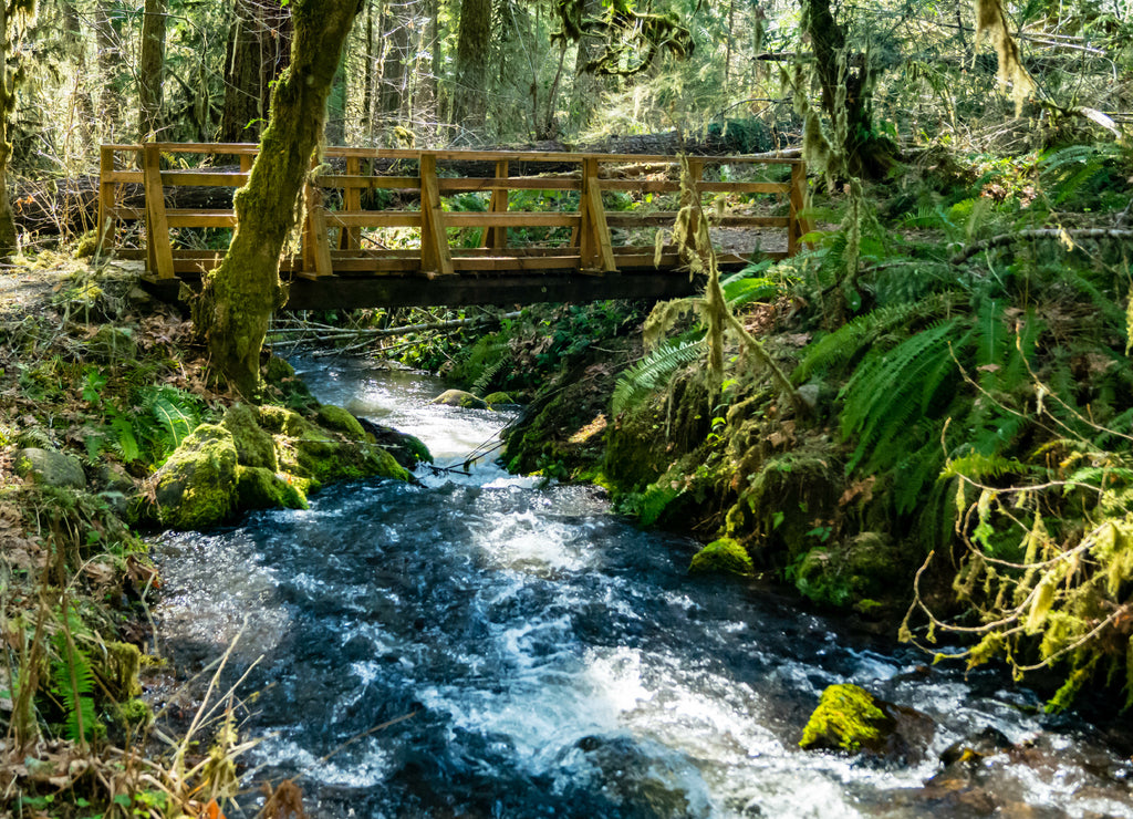 A bridge crosses Soda Creek in Cascadia State Park near Sweet Home, Oregon