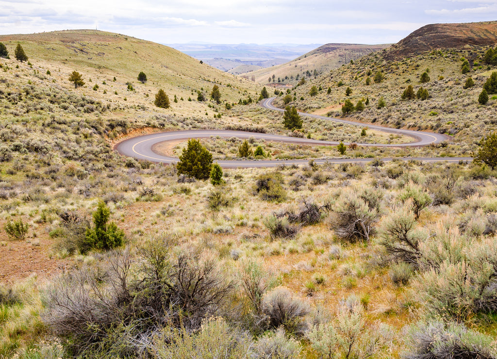 Oregon High Desert