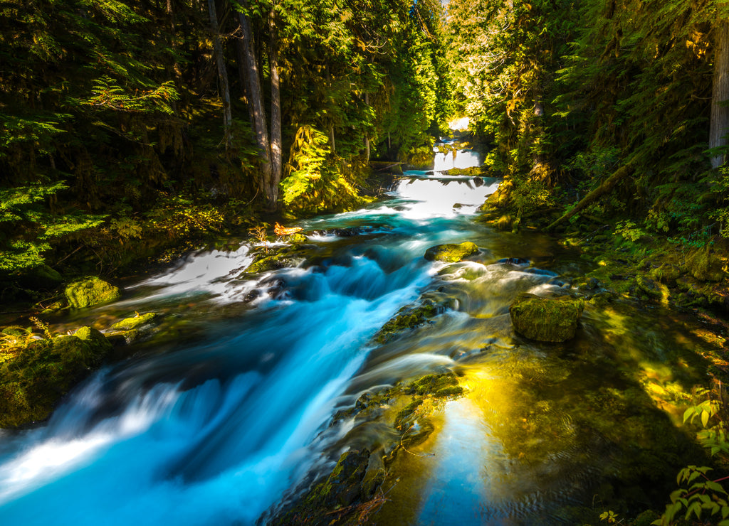 McKensie River down from Sahalie Falls Oregon