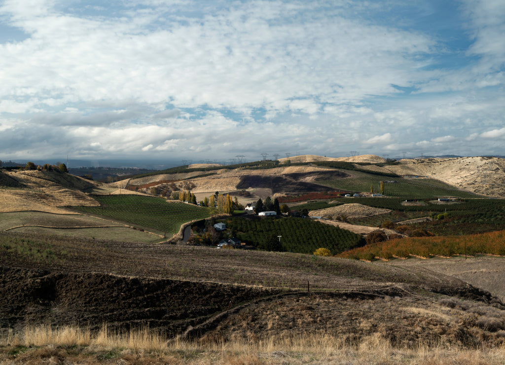 Rolling Fields and Hills Near The Dalles, Oregon