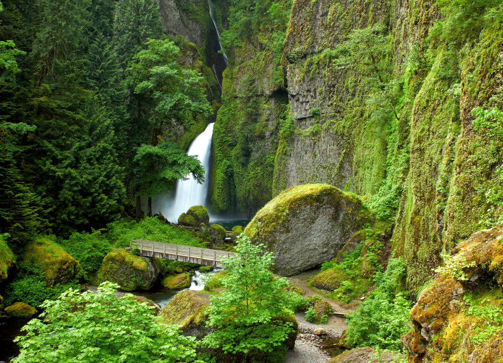 Oregon portrait Wahclella falls