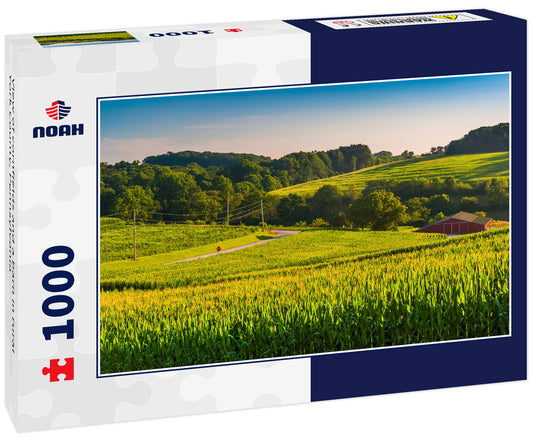 View of cornfields and a barn in rural York County, Pennsylvania