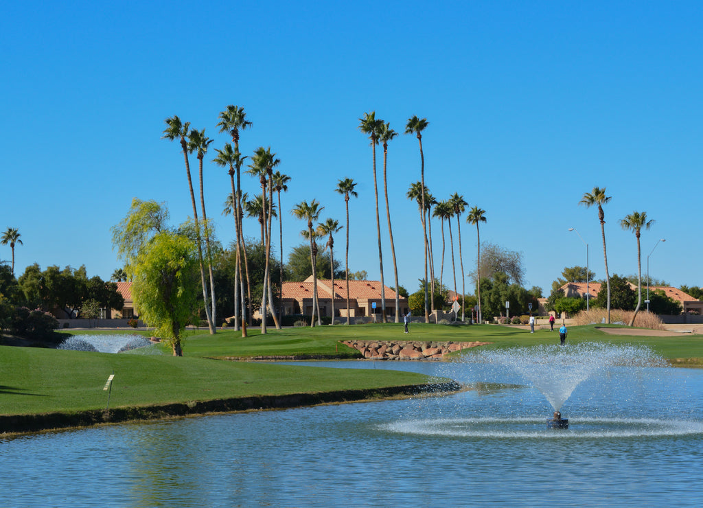 Water fountains and Palm Trees in Maricopa County, Glendale, Arizona