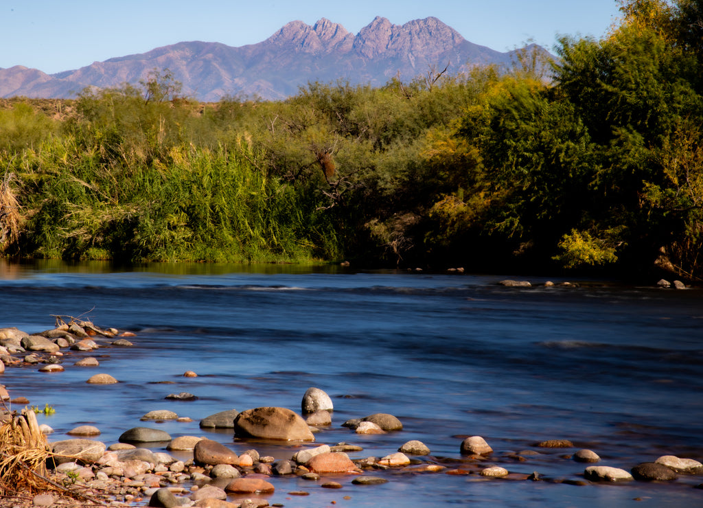 fall colors on the salt river near mesa Arizona