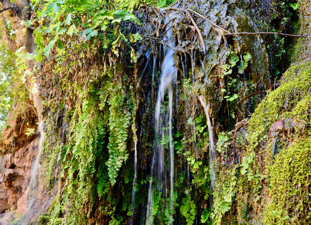 Waterfall at Tonto Natural Bridge State Park Payson Arizona Green Moss