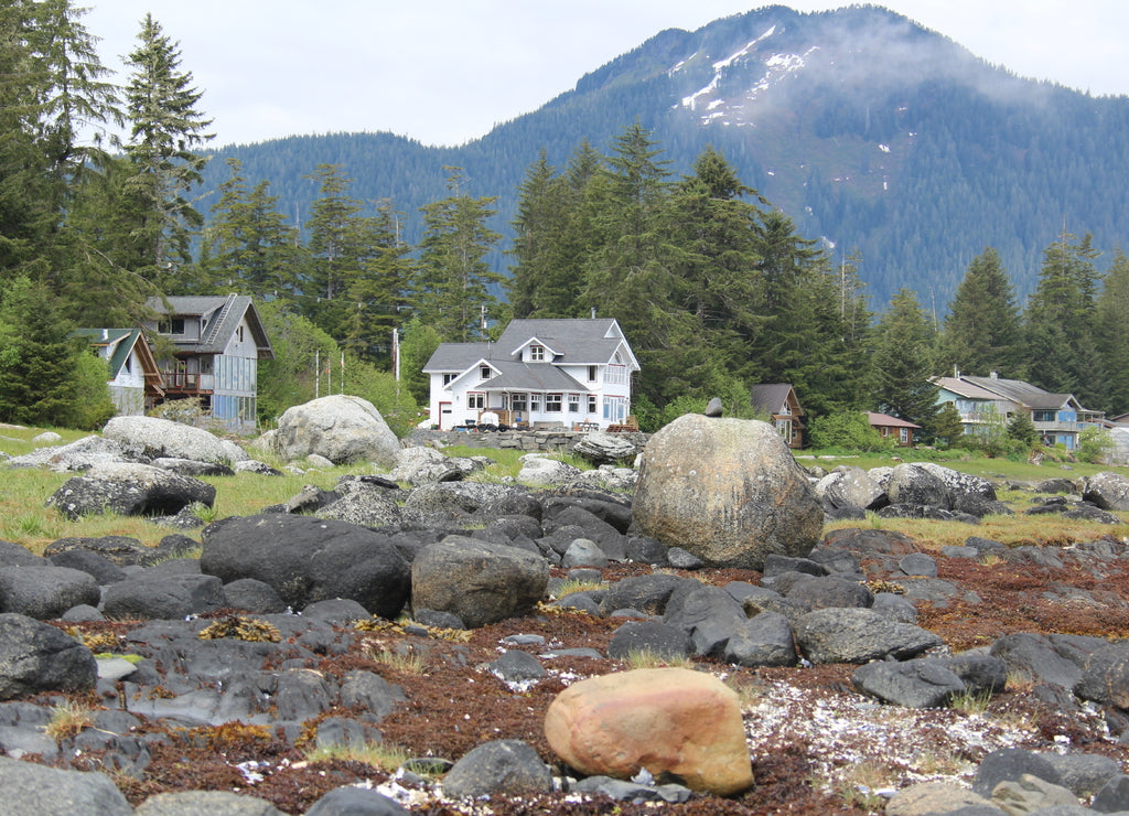 Waterfront Homes at Petersburg Alaska