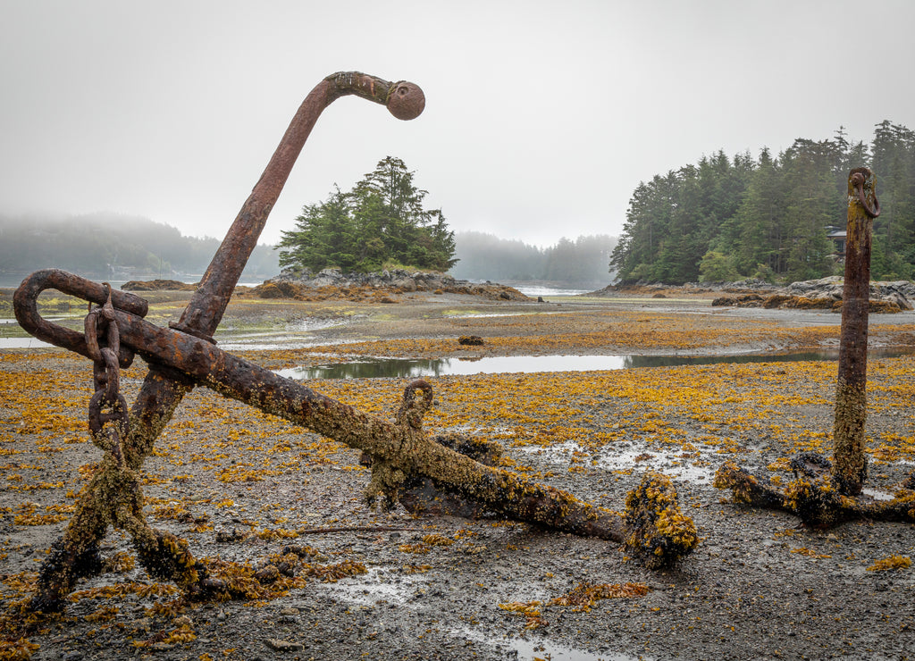 USA, Alaska, Sitka Old anchors at ocean low tide