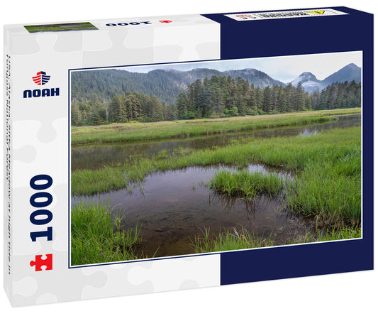 USA, Alaska, Sitka Meadow at high tide in Tongass National Forest