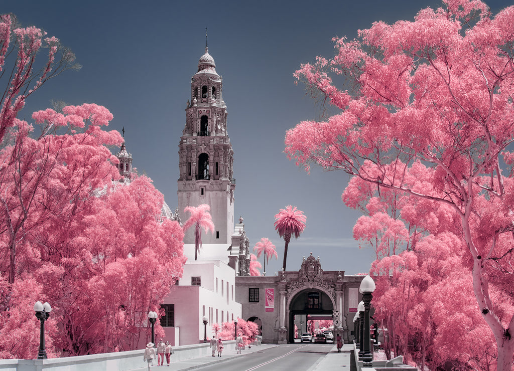 Balboa Park in Pink, California